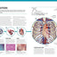 The Complete Human Body (Book & DVD-ROM)