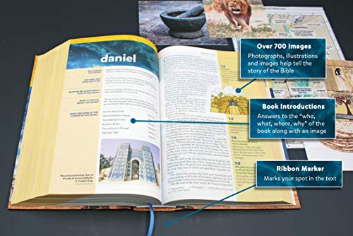NIV, Kids' Visual Study Bible, Hardcover, Blue, Full Color