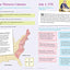 Brain Quest Workbook: Grade 4