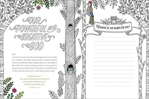 Gratitude: A Prayer and Praise Coloring Journal