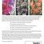 Sweet Peas: An Essential Guide by Parsons, Roger