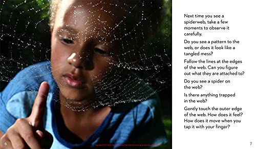 Next Time You See a Spiderweb