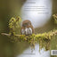 Owl: A Year in the Lives of North American Owls