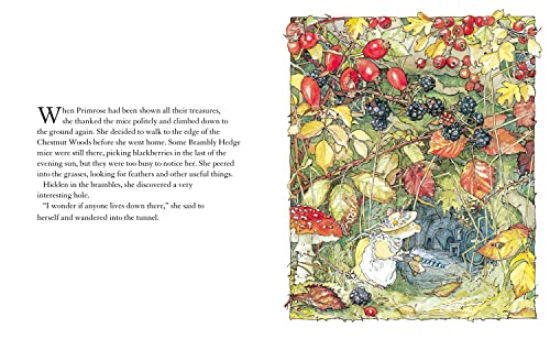 Autumn Story: Introduce children to the seasons in the gorgeously illustrated classics of Brambly Hedge!