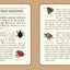 Beaded Bugs: Make 30 Moths, Butterflies, Beetles, and Other