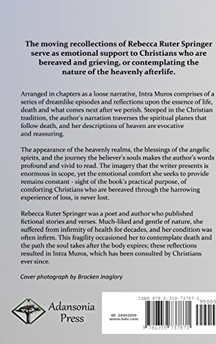 Intra Muros: My Dream of Heaven - A Christian's Counsel on Death, Bereavement and the Afterlife (Hardcover)