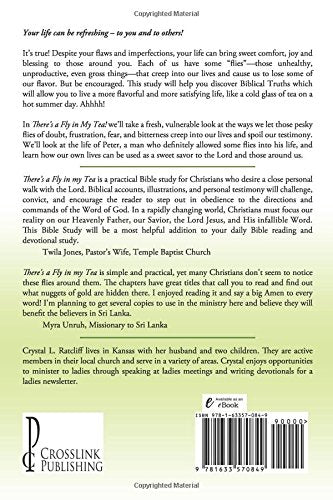 There's a Fly In My Tea!: The Importance of Maintaining a Christian Testimony