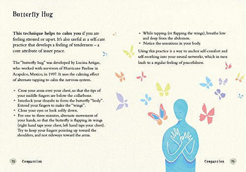 Little Book of Inner Peace: Simple practices for less angst, more calm
