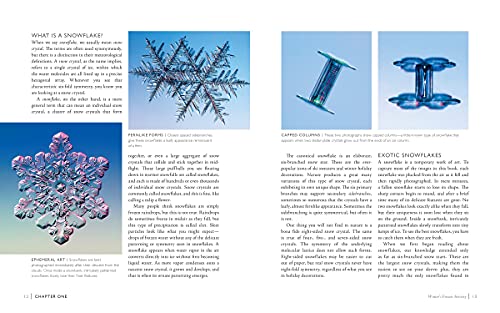Capturing Snowflakes: Winter's Frozen Artistry by Libbrecht,