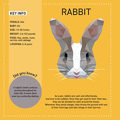 My Sticker Paintings: Pets: 10 Magnificent Paintings (Happy Fox Books) For Kids Ages 6-10 - Dogs, Cats, Birds, Fish, Bunny, and More, with Up to 80 Removable, Reusable Stickers per Design