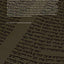 The Story of Israel in the Book of Qohelet: Ecclesiastes as Cultural Memory (Oxford Theology and Religion Monographs)