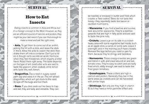 How to Fight A Bear...and Win: And 72 Other Real Survival Tips We Hope You'll Never Need (Uncle John's Do-it-yourself Book)