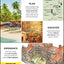 DK Eyewitness India (Travel Guide)