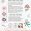Florabunda Style: Super Simple Line Art to Color, Craft & Draw (Design Originals) Over 200 Doodles to Learn: Flowers, Leaves, Vines, Buds, Pods, Blooms, Petals, Bells, Nature-Inspired Accents, & More