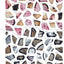 Brain Games - Sticker by Number: Enchanted Forest (24 Images to Sticker): Includes 2 Foil Sticker Sheets to Complete Each Image!