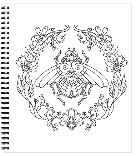 Large Print Easy Color & Frame - Garden (Stress Free Coloring Book)