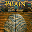 Rhythms of the Brain