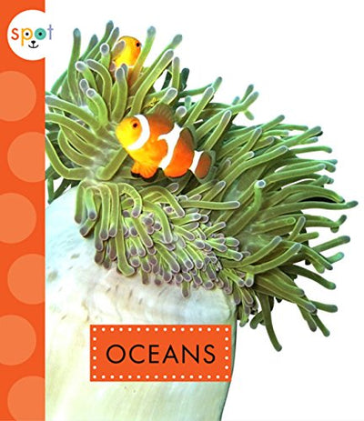 Oceans (Spot)