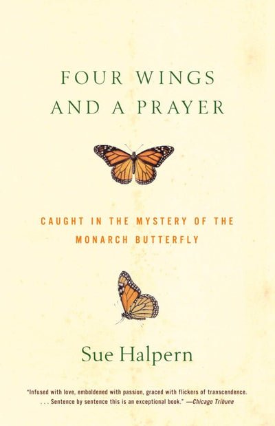 Four Wings and a Prayer: Caught in the Mystery of the Monarch Butterfly