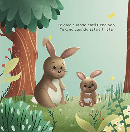 Te Amo Cuando Est?s Enojado (I Love You When You're Angry) (Spanish Edition)