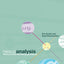 Nexus Analysis
