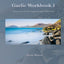 Gaelic Workbook 1: Progressive Gaelic Level 1 Workbook