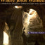 Where Jesus Walked: A Spiritual Journey Through the Holy Land