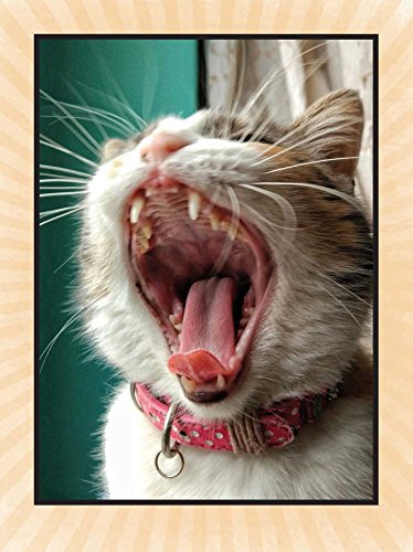 Claw the System: Poems from the Cat Uprising