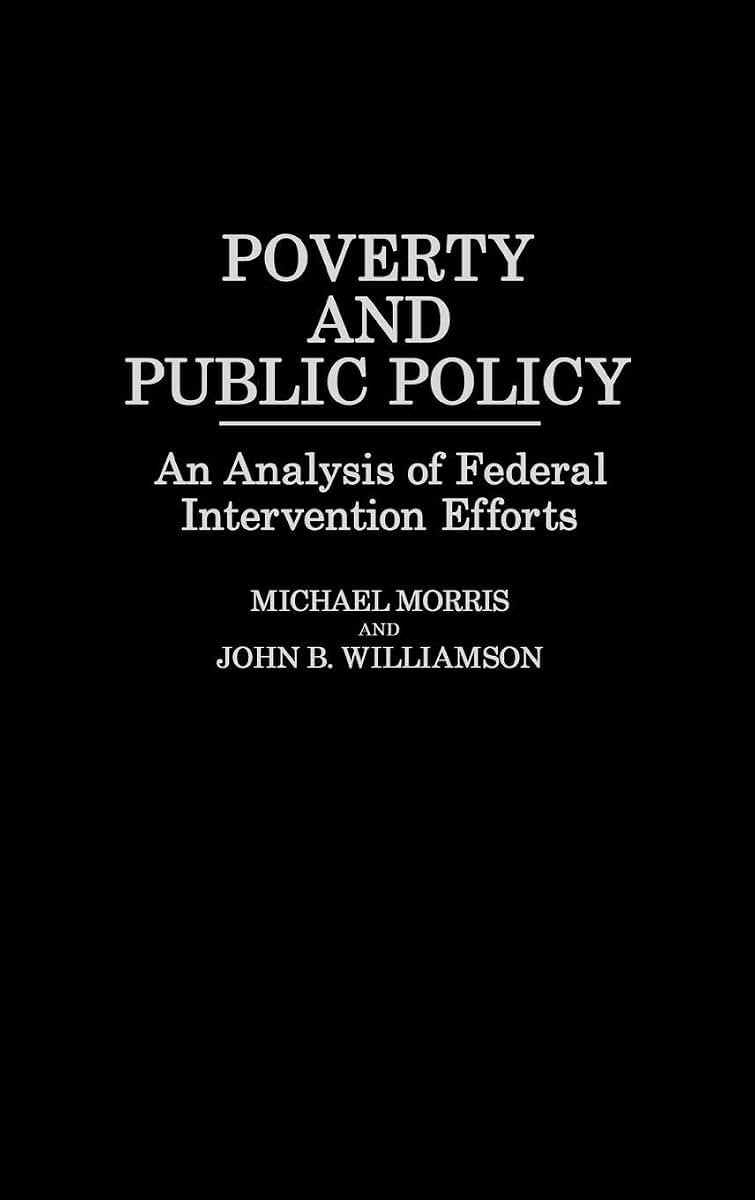 Poverty and Public Policy: An Analysis of Federal Intervention Efforts (Studies in Social Welfare Policies and Programs)