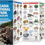 Acadia National Park Wildlife: A Folding Pocket Guide to Familiar Animals (Wildlife and Nature Identification)