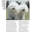 Bolognese (Comprehensive Owner's Guide)