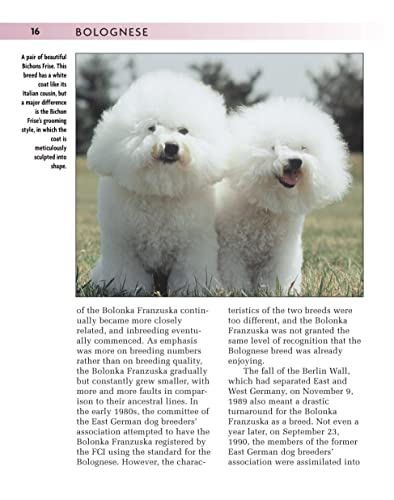 Bolognese (Comprehensive Owner's Guide)