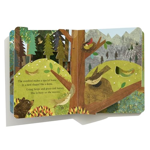 Home: A Peek-Through Board Book