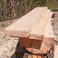 Homeowner's Complete Guide to the Chainsaw by Miakarts Books