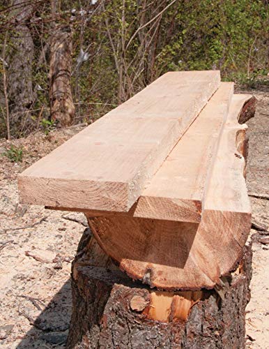 Homeowner's Complete Guide to the Chainsaw by Miakarts Books