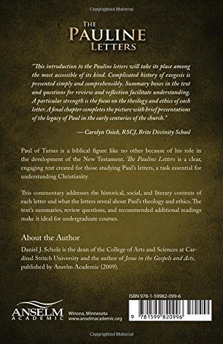 The Pauline Letters (Introducing the New Testament)