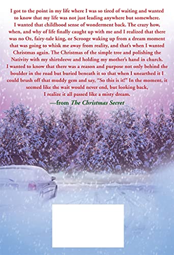 The Christmas Secret: A Novel (Christmas Hope Series, 5)
