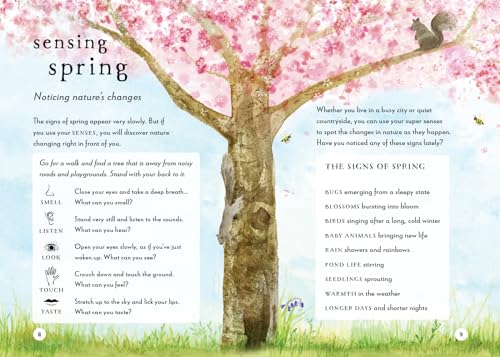 A Field Guide to Spring: Play and Learn in Nature