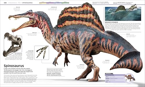 Knowledge Encyclopedia Dinosaur!