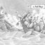 The Sea Lion (7) (Lighthouse Family)