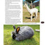 Raising Animals for Fiber: Producing Wool from Sheep, Goats, Alpacas, and Rabbits in Your Backyard (CompanionHouse Books) Livestock Health, Grooming, Housing, Breeding, & Shearing, from Angora to Suri