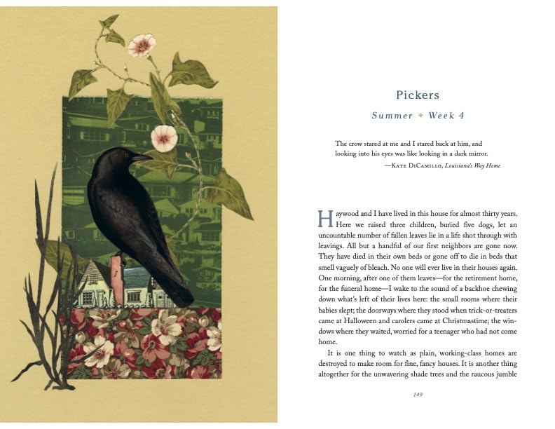 The Comfort of Crows (Reese's Book Club Pick): A Backyard Year