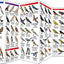 Maryland & DC Birds: A Folding Pocket Guide to Familiar Species (Wildlife and Nature Identification)