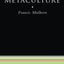 Culture/Metaculture (The New Critical Idiom)