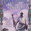 Paladin of Souls