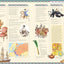 Timelines of World History