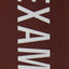 Fraud Examination