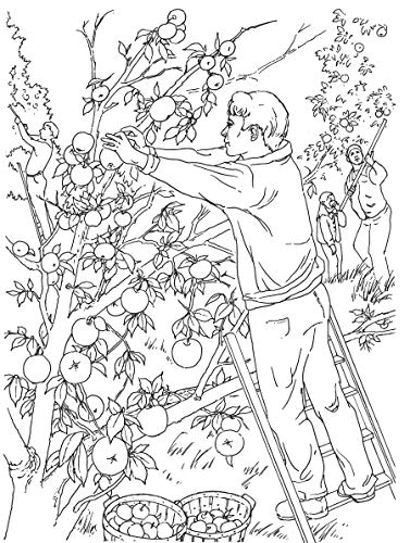Creative Haven Country Scenes Coloring Book: Relax & Find Your True Colors (Adult Coloring Books: In The Country)