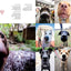 The Dogist: Photographic Encounters with 1,000 Dogs