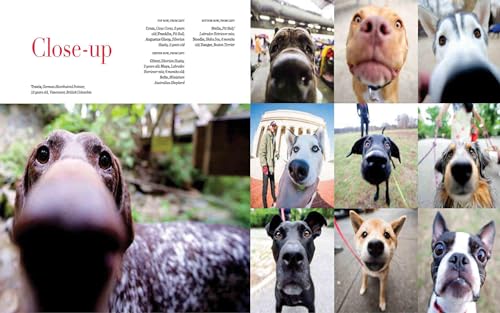 The Dogist: Photographic Encounters with 1,000 Dogs